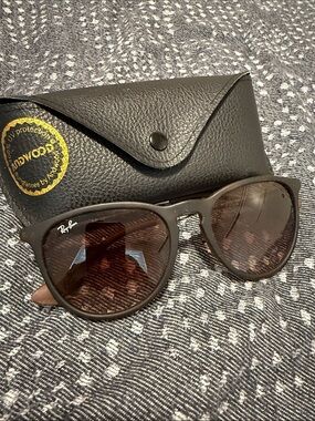 Ray-Ban Erika Sunglasses